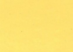 1984 International Saffron Yellow